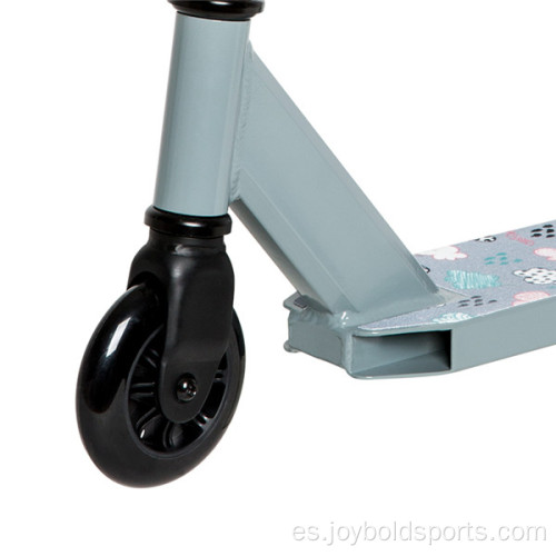 Scooter de acrobacias con accesorios de dos ruedas